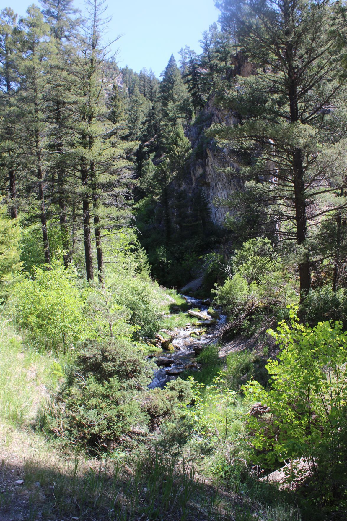 Disappearing creek